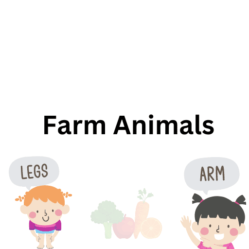 Farm Animals